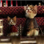 Game of Thrones cats