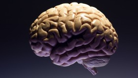 15 Things You Didn't Know About Your Brain